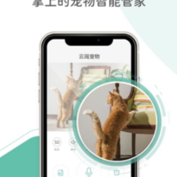 ��������app