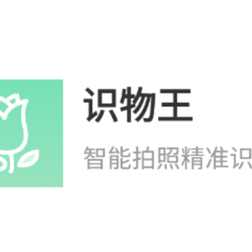 ʶ����app
