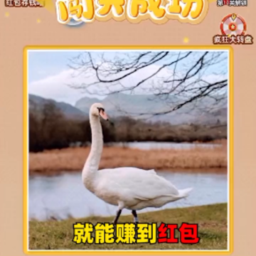 ƴͼ����ս׬Ǯ��Ϸ