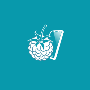 RaspController RaspController