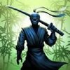忍者战士阴影v3.0 最新版