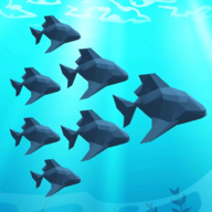 Crowd Fish 3D(Ⱥ3D)v1.2 ׿