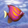 Feeding Frenzy(ι���)v1.2 ��׿��