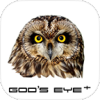 Gods Eye +v2.3.74 最新版