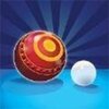 Bowls Pro(����������)