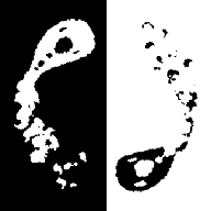 Yin Yang Fish(��������Ϸ)v1.0.2 ��׿��