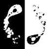 Yin Yang Fish(��������Ϸ)v1.0.2 ��׿��