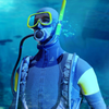 �Ǳˮģ��v1.0.2 ��׿��