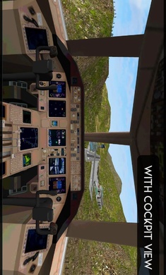 Avion Flight Simulator(ģ)v1.08 ֻ