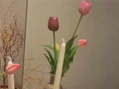 ����ϱ�������׵�˵˵ ����ϱ����ί�����İ�