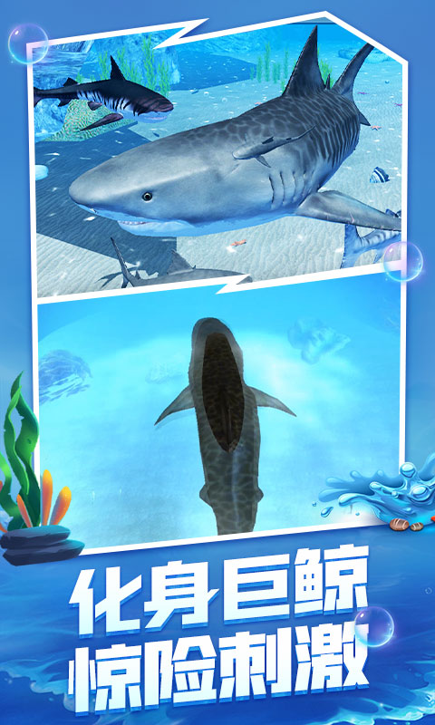 �����v3.0 ���°�