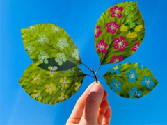 �о��Լ����˵ľ����İ� �п��Լ����˵�˵˵