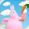 Super Bunny Man(����������˫��������)v1.02 ���İ�