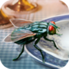 ģ���Ӭ����v1.0.0 ��׿��