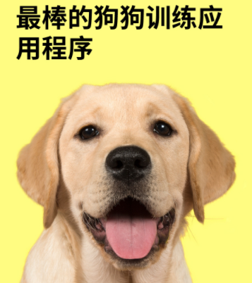 image.png image.png