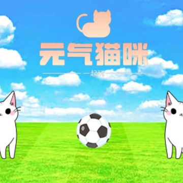 元气猫咪 元气猫咪