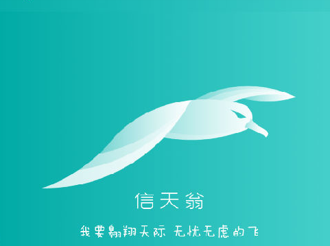 海信信天翁系统 海信信天翁系统