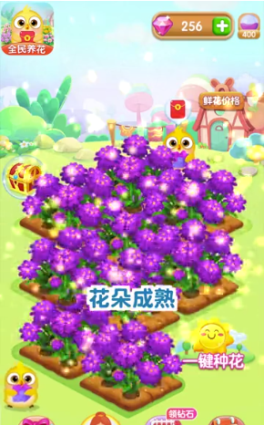 ȫ������appv1.0.4 ��׿��