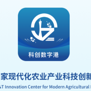 �ƴ����ָ�app