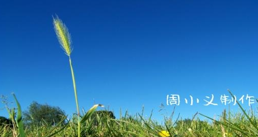 周小义灵敏度app 周小义灵敏度app