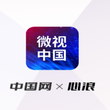 ΢���й�app