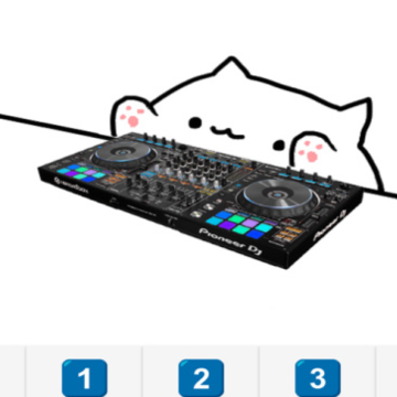 邦戈猫 邦戈猫