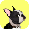 EveryDoggy(����ѵ��)v1.0.0 ��׿��