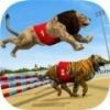 Lion Race 3d(ʨ3D)v1.1 ׿