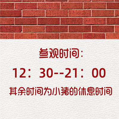 2021�ɰ��ܸ��Ե���Ƥ����Ȧ����ͼ �ܿ�û�ж�̬����Ȥ�ز�2021