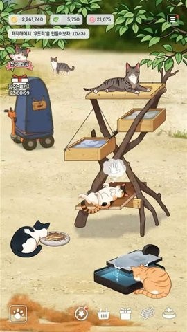 �泡è��Fish Farm Catsv1.14 ���İ�
