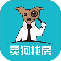 �鹷�ҷ�appv1.0.3 ��׿��