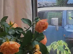 ʮһ�³������ᷢ����Ȧ���İ� ����������ֺ�������ʮһ������Ȧ