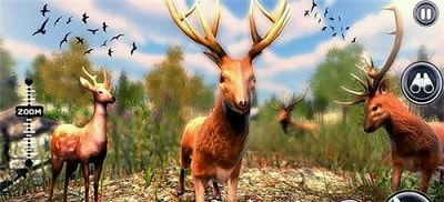 Ұ¹Wild Deer hunterv1.0.3 ׿