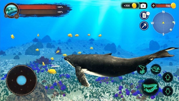 ����Ǳˮģ����The Humpback Whalesv1.0.1 ��׿��