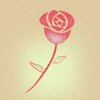 ���������appv1.0.1 ���°�