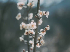 �뿪���Լ�����ܾó��е�˵˵ �뿪�Լ�����Ϥ�Ļ����˸���¼