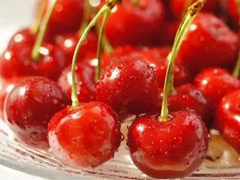 �ֵ��˳Գ����ӵļ���˵˵ �Զ�����һ�ų����ӵ�˵˵