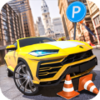 ��ʻѧУģ������Driving School Sim Car Gamesv1.0 ��׿��
