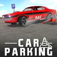 免费停车场模拟驾驶(Real Car Parker)v4.2 安卓版