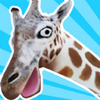 �ǳ��ںϵ�¹v1.0 ���°�
