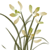 �滭��app����v1.2.0 ��׿��
