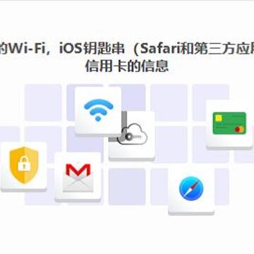 ţѧ��ƻ���ֻ������������