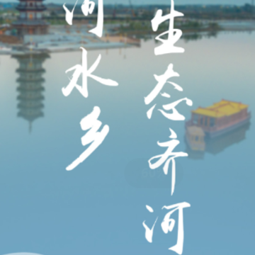 �����app
