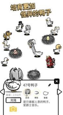 ������ʲôѼ(Clusterduck)
