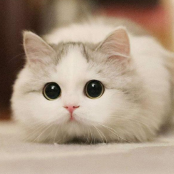 image.png image.png