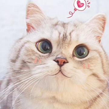 image.png image.png