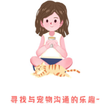 ��˵���ｻ����app