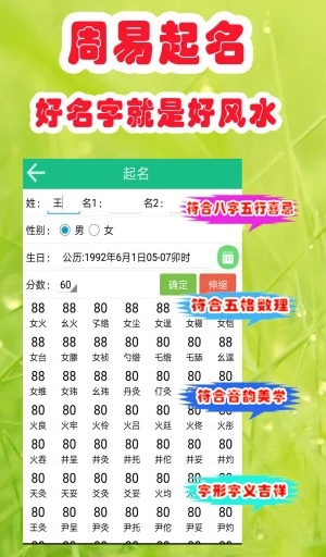 洪铟八字算命软件 洪铟八字算命软件