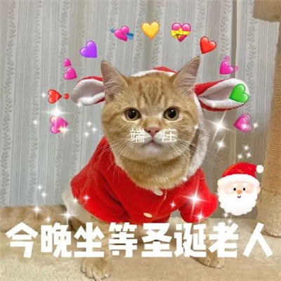 2021圣诞节可爱的萌娃表情 今年又是一个人过圣诞
