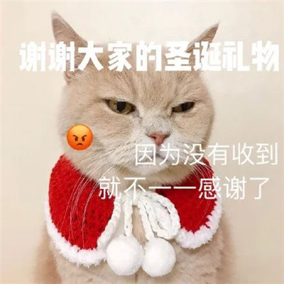 2021圣诞节可爱的萌娃表情 今年又是一个人过圣诞
